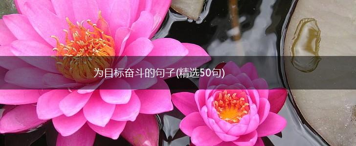 为目标奋斗的句子(精选50句),第1张