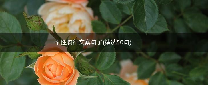 个性骑行文案句子(精选50句),第1张