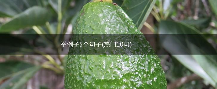 举例子5个句子(热门10句),第1张