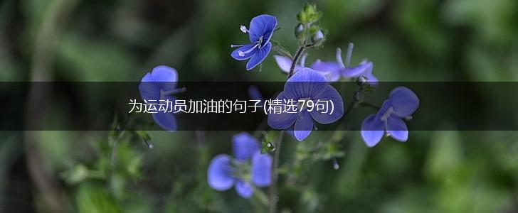 为运动员加油的句子(精选79句),第1张
