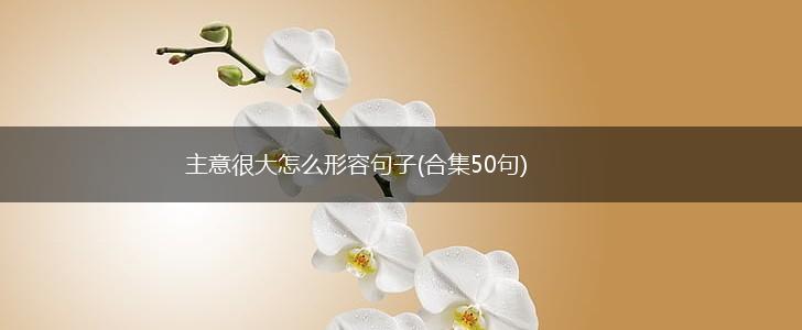 主意很大怎么形容句子(合集50句),第1张 主意很大怎么形容句子(合集50句),第1张