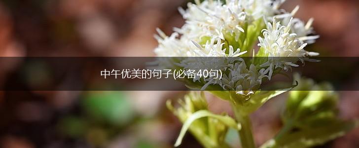 中午优美的句子(必备40句),第1张 中午优美的句子(必备40句),第1张