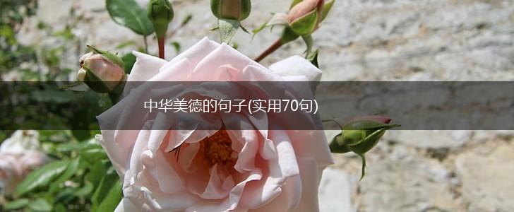 中华美德的句子(实用70句),第1张