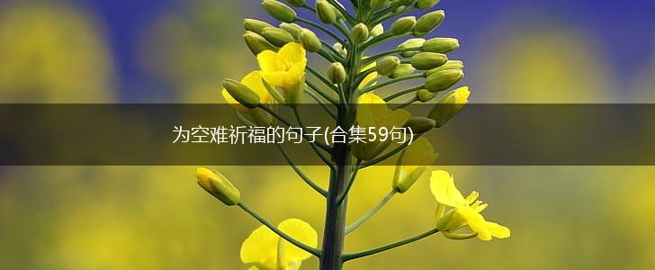为空难祈福的句子(合集59句),第1张
