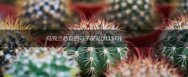 乌克兰悲哀的句子说说(共15句),第1张