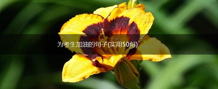 为考生加油的句子(实用50句),第1张