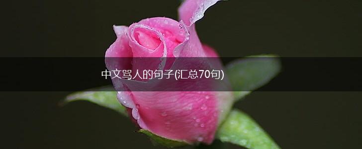 中文骂人的句子(汇总70句),第1张
