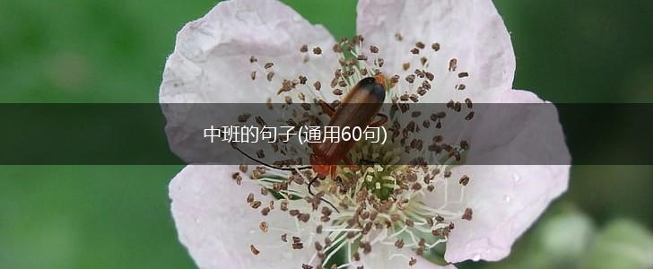 中班的句子(通用60句),第1张 中班的句子(通用60句),第1张