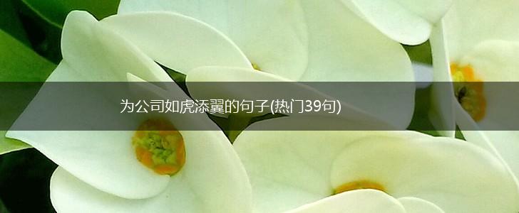 为公司如虎添翼的句子(热门39句),第1张
