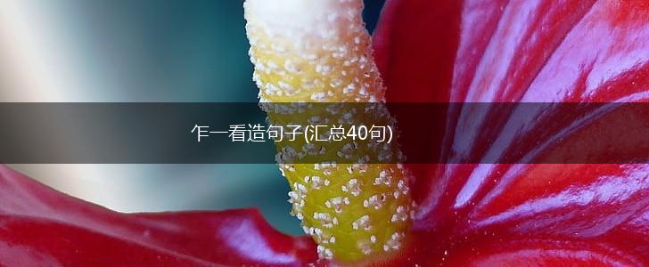 乍一看造句子(汇总40句),第1张