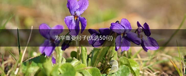 为学重要句子(优选50句),第1张