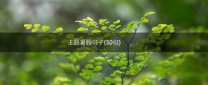 主题暑假句子(30句),第1张