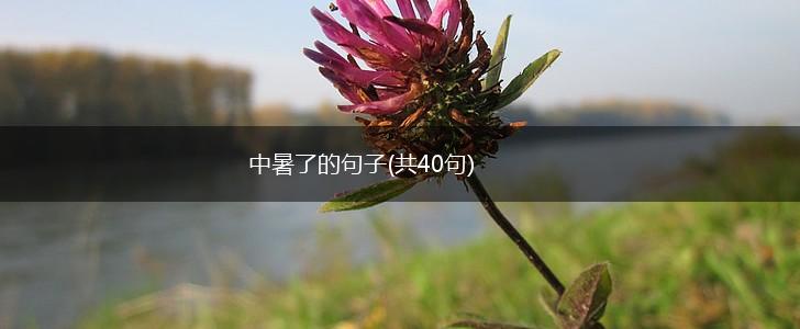 中暑了的句子(共40句),第1张