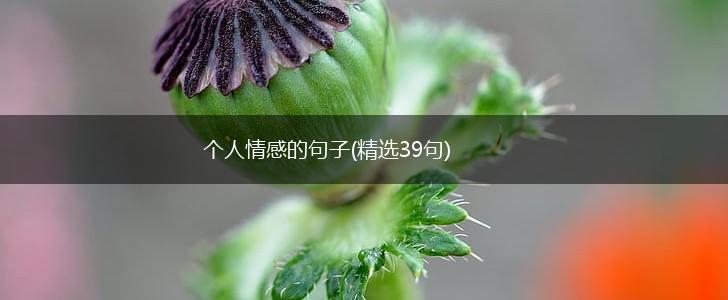 个人情感的句子(精选39句),第1张 个人情感的句子(精选39句),第1张