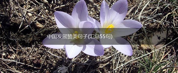 中国发展赞美句子(汇总55句),第1张