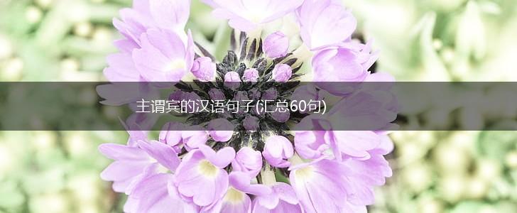 主谓宾的汉语句子(汇总60句),第1张