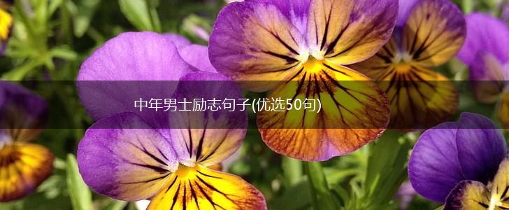 中年男士励志句子(优选50句),第1张