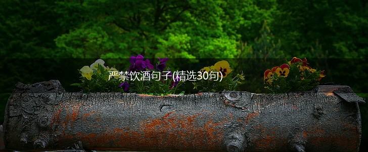 严禁饮酒句子(精选30句),第1张