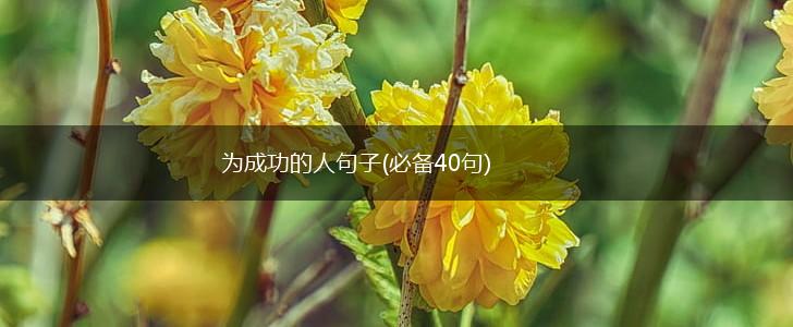 为成功的人句子(必备40句),第1张 为成功的人句子(必备40句),第1张