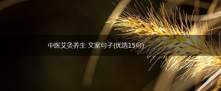 中医艾灸养生 文案句子(优选15句),第1张