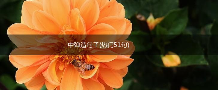 中弹造句子(热门51句),第1张