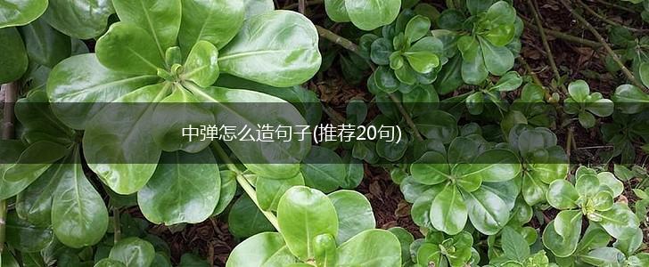 中弹怎么造句子(推荐20句),第1张
