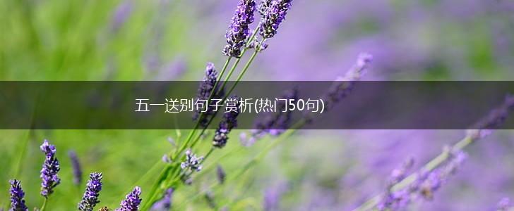 五一送别句子赏析(热门50句),第1张