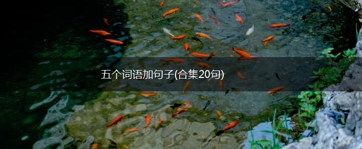 五个词语加句子(合集20句),第1张