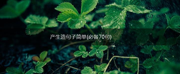 产生造句子简单(必备70句),第1张