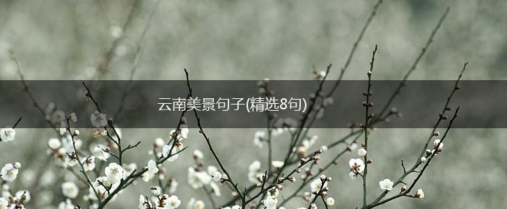 云南美景句子(精选8句),第1张