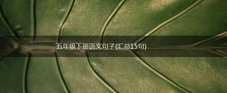 五年级下册语文句子(汇总15句),第1张