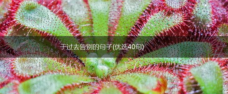 于过去告别的句子(优选40句),第1张