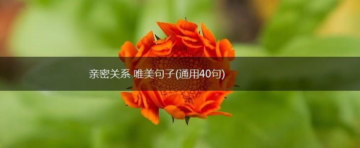 亲密关系 唯美句子(通用40句),第1张