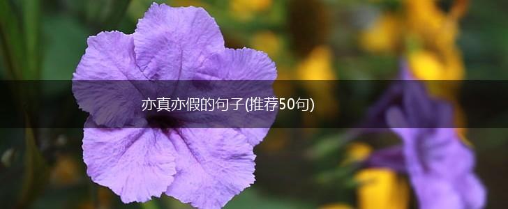 亦真亦假的句子(推荐50句),第1张
