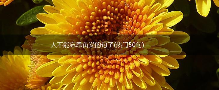 人不能忘恩负义的句子(热门50句),第1张