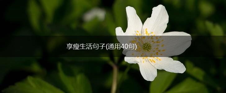 享瘦生活句子(通用40句),第1张