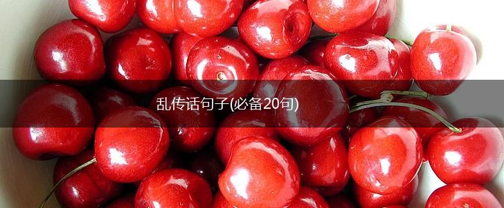 乱传话句子(必备20句),第1张