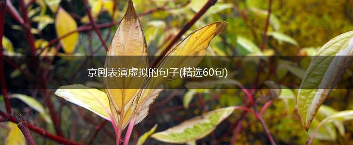 京剧表演虚拟的句子(精选60句),第1张