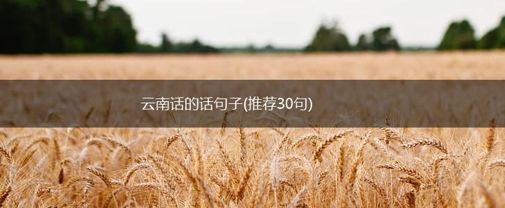 云南话的话句子(推荐30句),第1张