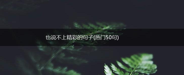 也说不上精彩的句子(热门50句),第1张