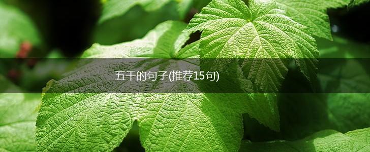 五千的句子(推荐15句),第1张