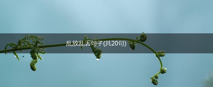 乱放乱丢句子(共20句),第1张