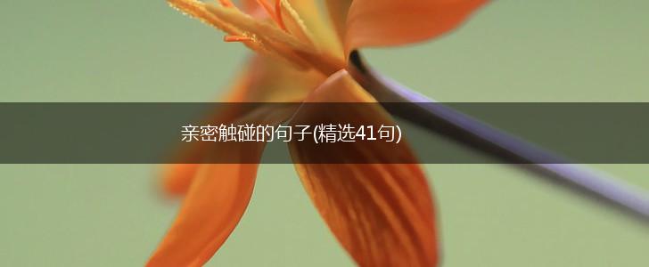 亲密触碰的句子(精选41句),第1张