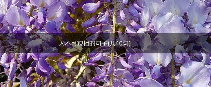 人不可貌相的句子(共40句),第1张
