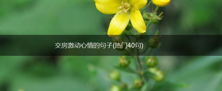 交房激动心情的句子(热门40句),第1张
