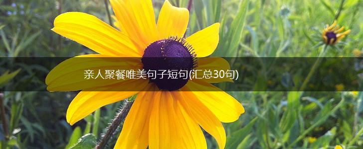 亲人聚餐唯美句子短句(汇总30句),第1张