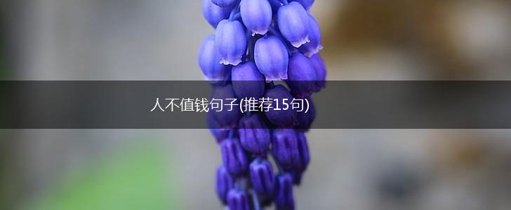 人不值钱句子(推荐15句),第1张