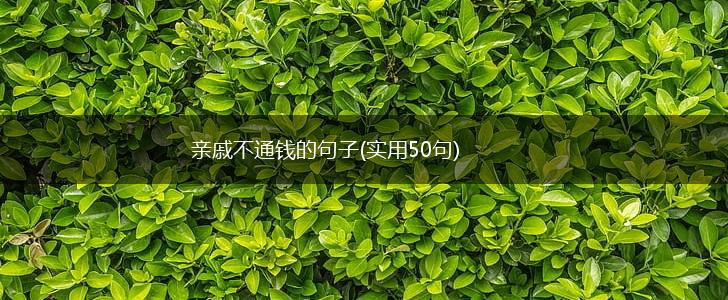 亲戚不通钱的句子(实用50句),第1张