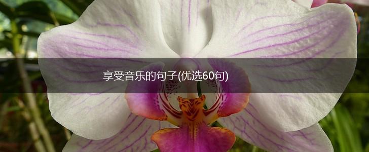 享受音乐的句子(优选60句),第1张