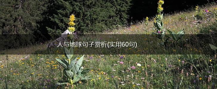 人与地球句子赏析(实用60句),第1张